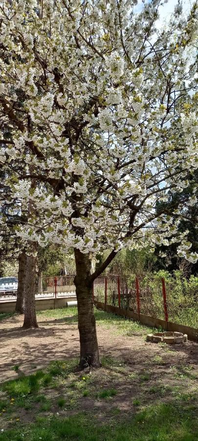 Ferienwohnung Ket Puli Vendeghaz Bekescsaba Exterior foto